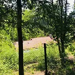 Apartman Altes Forstamt *