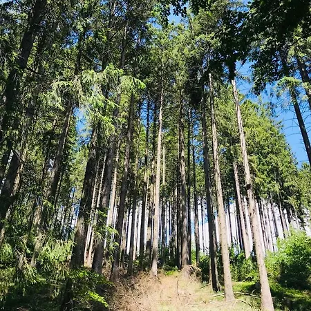 Altes Forstamt * Altenau (Lower-Saxony)